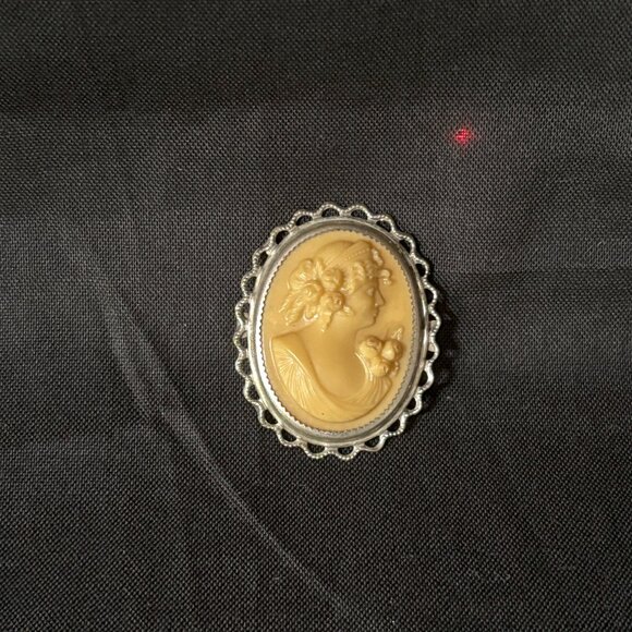 Vintage, circa 1930's Celluloid Brooch.  Excellent Condition. Free Shipping. - Picture 1 of 2